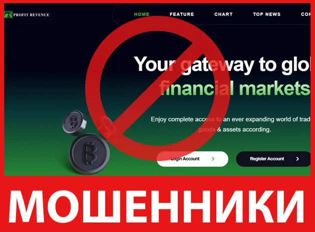 Profits Revenue лицевая сторона скрин