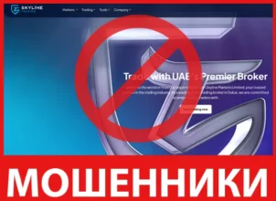 Skyline Markets Limited лицевая сторона скрин