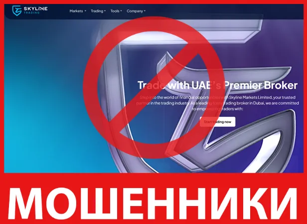 Skyline Markets Limited лицевая сторона скрин