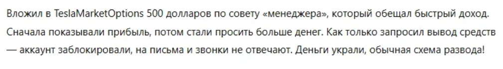 TeslaMarketOptions_1 скрин