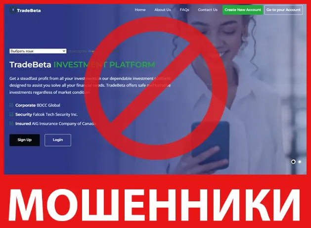 TradeBeta лицевая сторона скрин