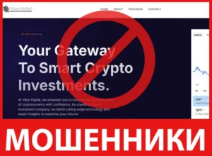 Vitex-Digital лицевая сторона скрин