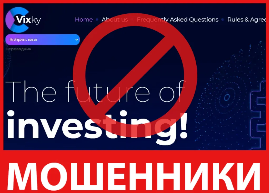 Vixky лицевая сторона скрин