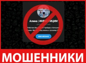 Алина ИНВЕСТИЦИИ лицевая сторона скрин