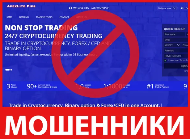 ApexLite Pips лицевая сторона скрин