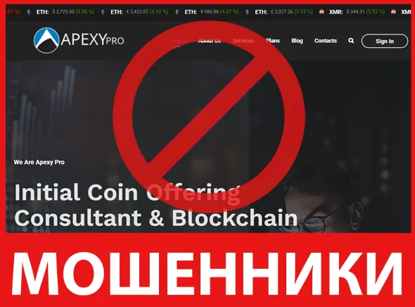 Apexy Pro лицевая сторона скрин