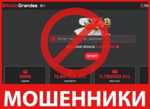 BitcoinGrandee лицевая сторона скрин