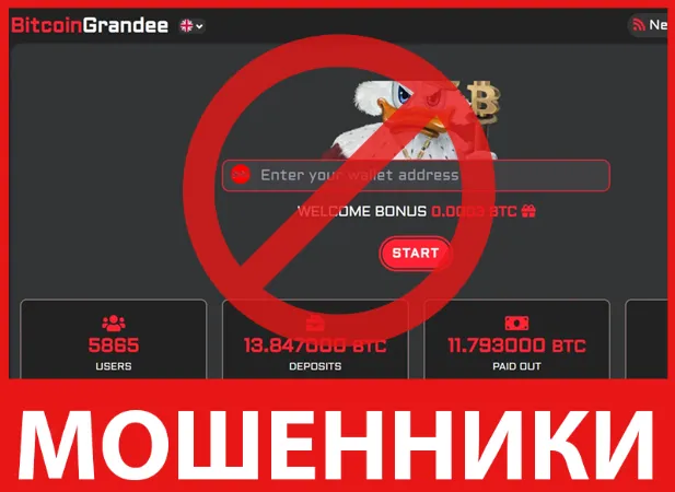 BitcoinGrandee лицевая сторона скрин