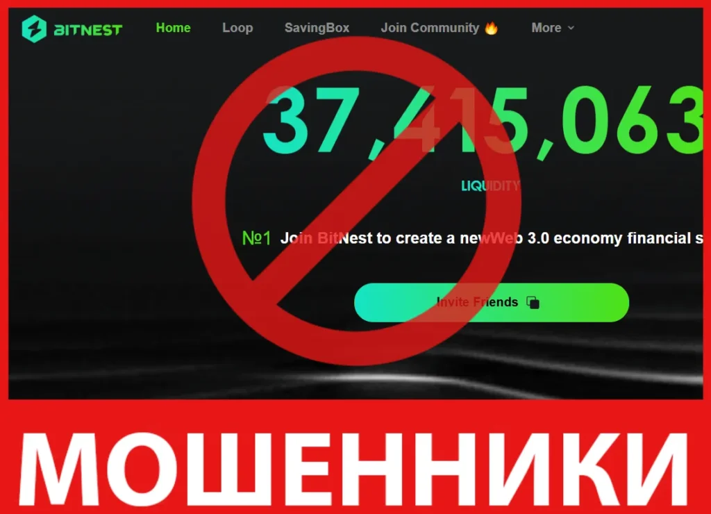 BitNest лицевая сторона скрин