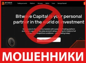Bitwave Capital лицевая сторона скрин