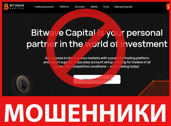 Bitwave Capital лицевая сторона скрин