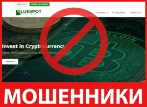 Blue Spot Digitals лицевая сторона скрин