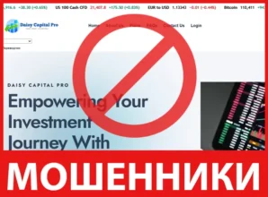 Daisy Capital Pro лицевая сторона скрин