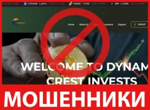 Dynamic Crest лицевая сторона скрин