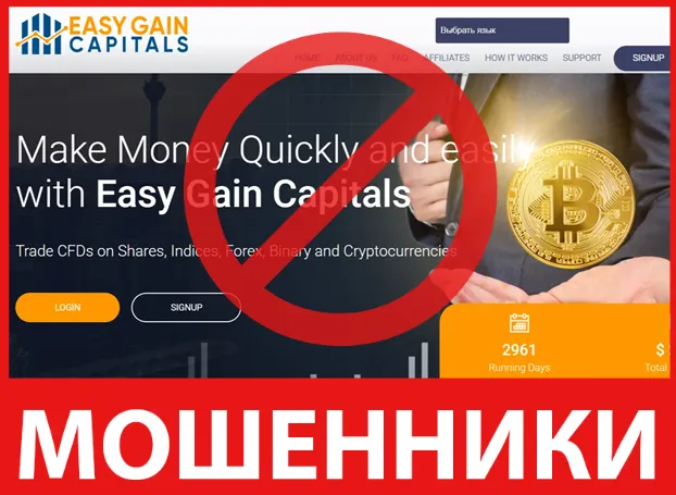 Easy Gain Capitals лицевая сторона скрин