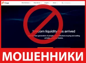 Forge лицевая сторона скрин