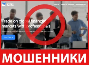 My Finance Mate лицевая сторона скрин