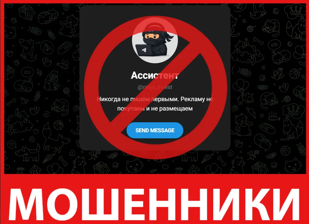 Ninja Invest лицевая сторона скрин