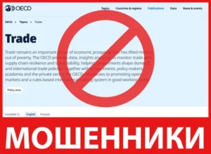 OECD лицевая сторона скрин