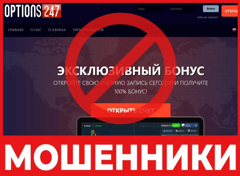 Option247 лицевая сторона скрин