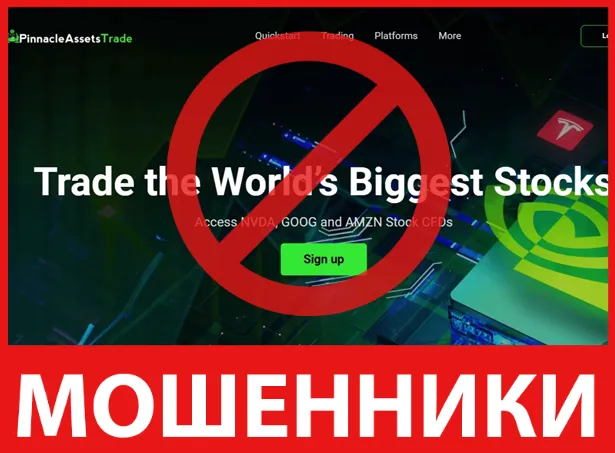 Pinnacle Assets Trade лицевая сторона скрин