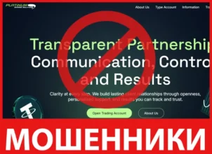 Platinum Shares Solutions лицевая сторона скрин