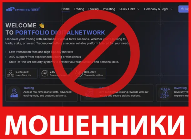 PortfolioDigitalNetwork лицевая сторона скрин