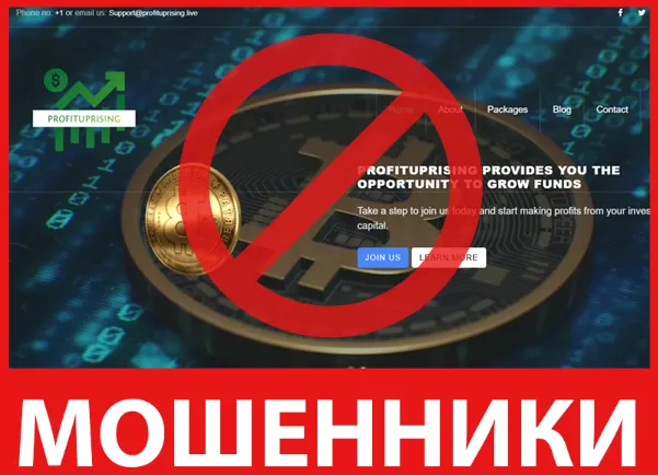 Profituprising лицевая сторона скрин