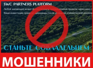 SWC Partners Platform лицевая сторона скрин