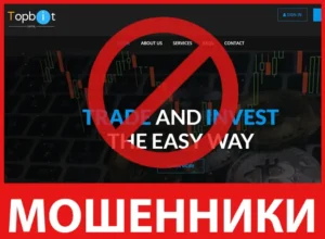 Topbit Capital лицевая сторона скрин