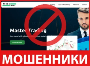 TradaHive лицевая сторона скрин