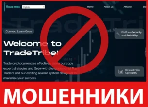 TradeTribe лицевая сторона скрин