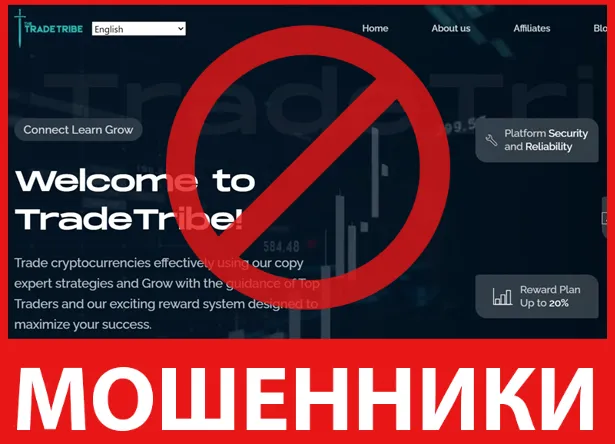 TradeTribe лицевая сторона скрин