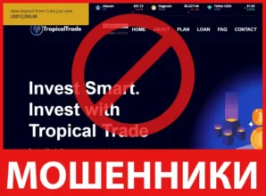 Tropical Trade лицевая сторона скрин