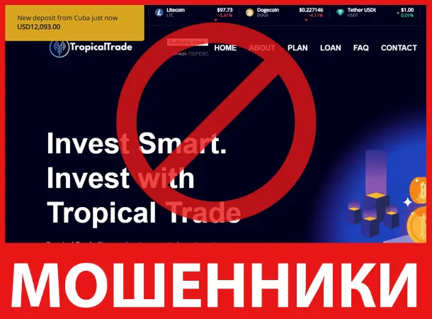 Tropical Trade лицевая сторона скрин