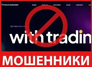 Vaults Investment лицевая сторона скрин