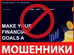 VaultsIQ лицевая сторона скрин