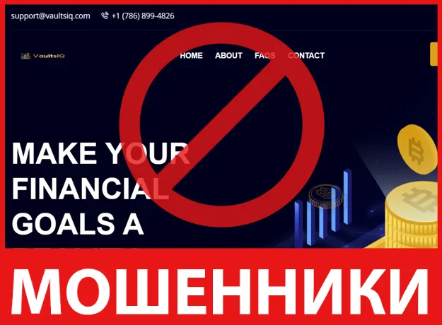 VaultsIQ лицевая сторона скрин