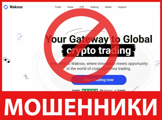 Waknox лицевая сторона скрин