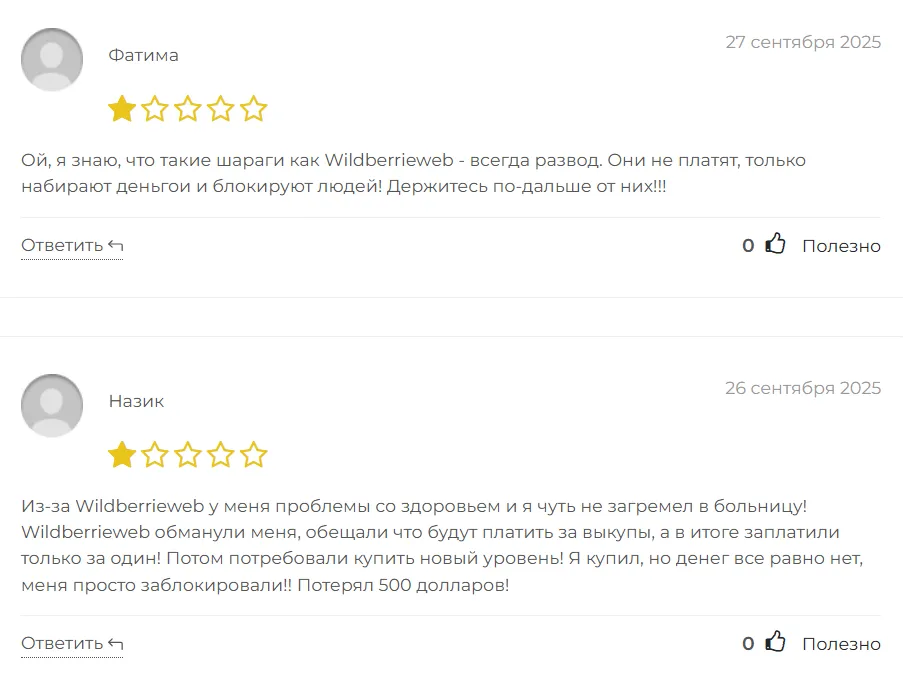 Wildberrieweb_1 скрин