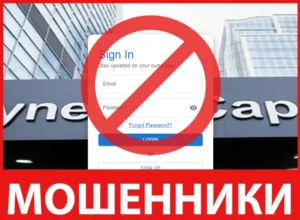 Zynexis Capital лицевая сторона скрин