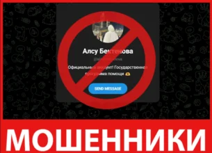 Алсу Бектенова HALAL лицевая сторона скрин