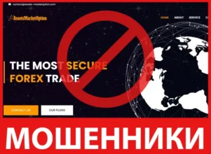 Assetsmarketoption лицевая сторона скрин