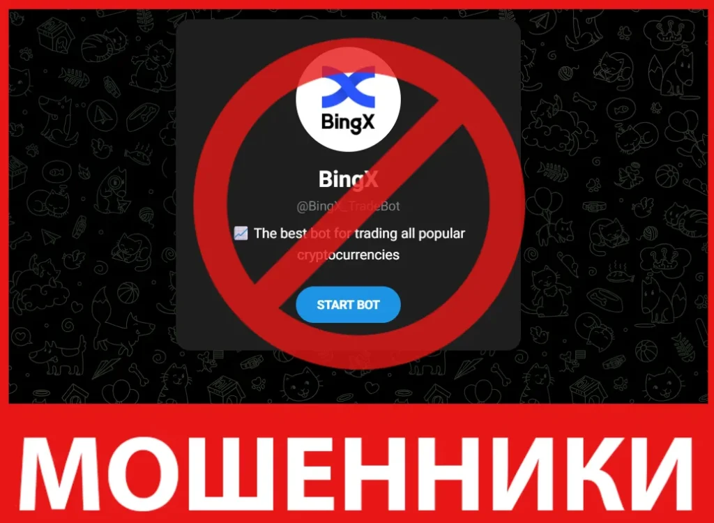 BingX TradeBot лицевая сторона скрин