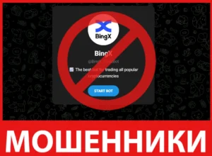 BingX TradeBot лицевая сторона скрин