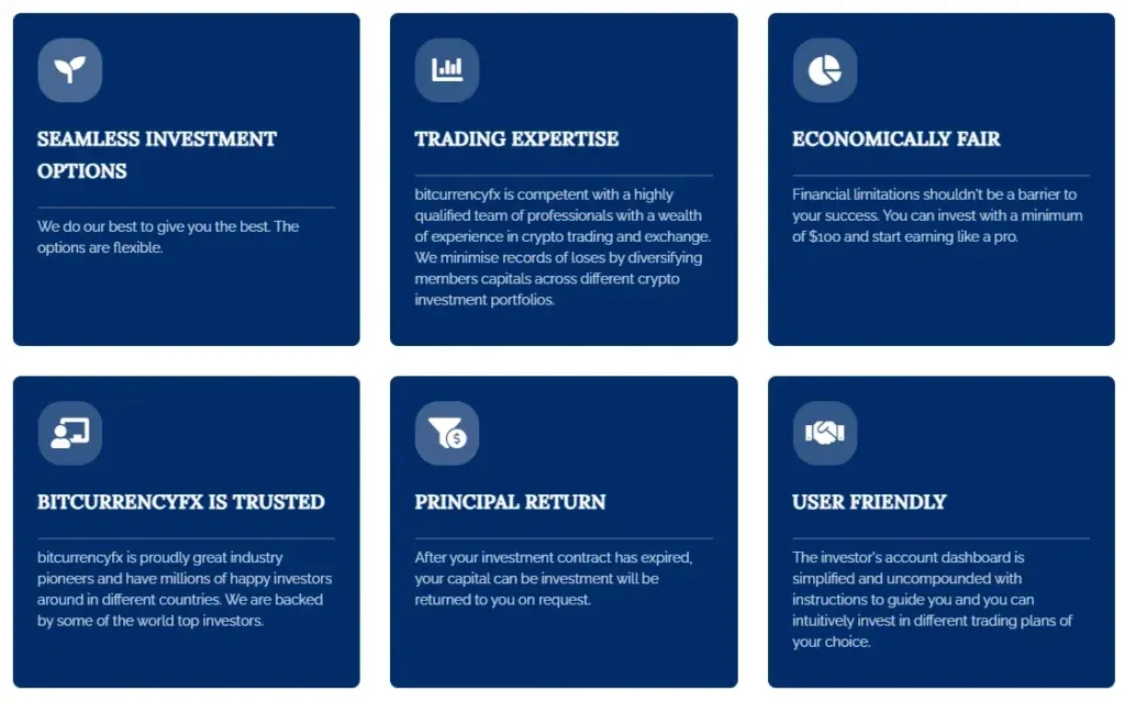 bitcurrencyfx 2 скрин