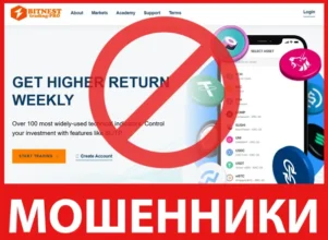 Bitnest Trading Pro лицевая сторона скрин