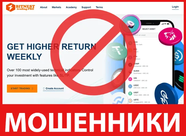 Bitnest Trading Pro лицевая сторона скрин