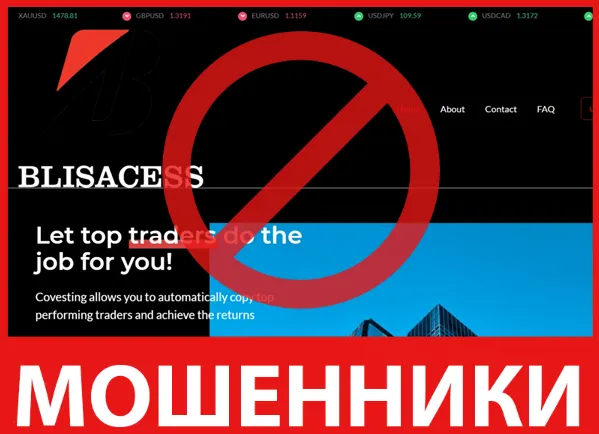 Blisacess лицевая сторона скрин