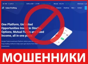 Cyber Profiting лицевая сторона скрин